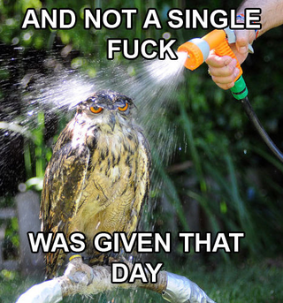 Illustration for article titled Screw it, monday morning GIF dump. Deal with it